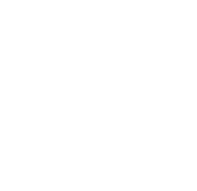 SmartLocks logo